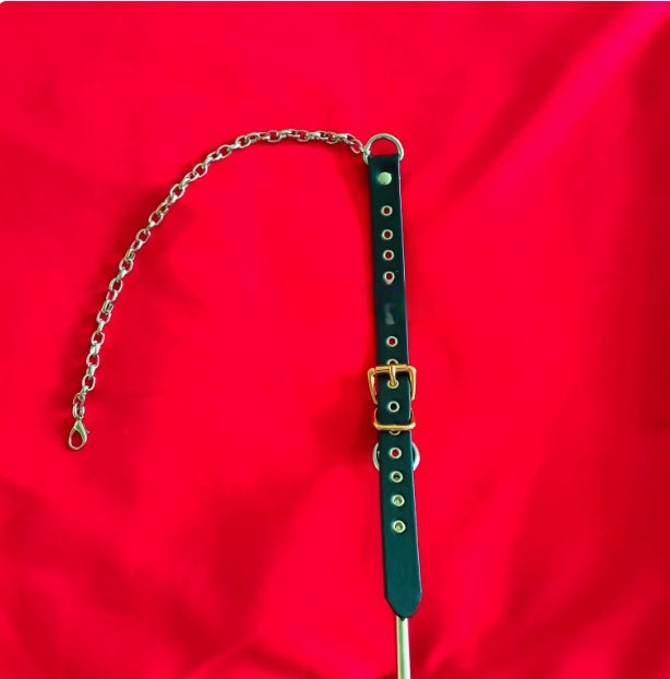 Stainless Steel Forced Head-up Anal Hook – Court Punishment Prop