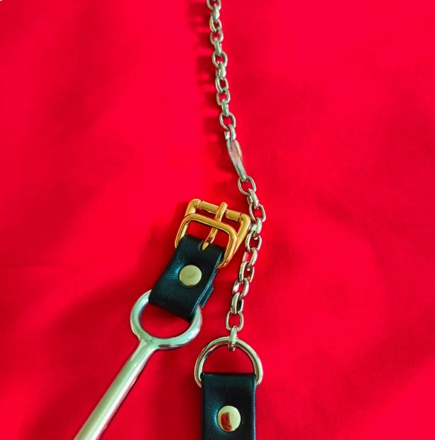 Stainless Steel Forced Head-up Anal Hook – Court Punishment Prop