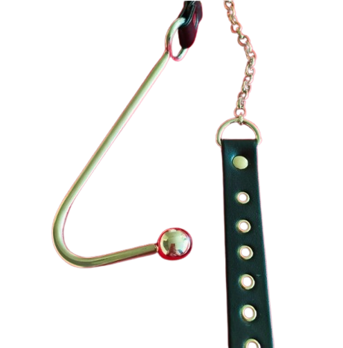 Stainless Steel Forced Head-up Anal Hook – Court Punishment Prop