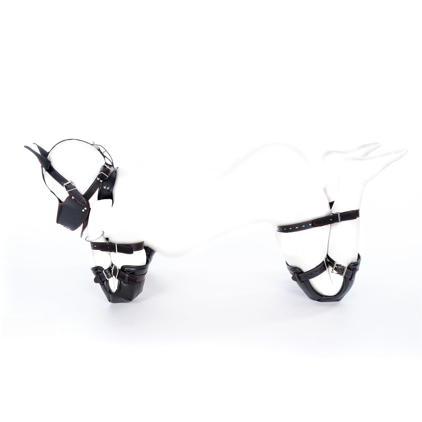 Self-Bound Dog Slave Training Bondage Gear - Complete Costume Set