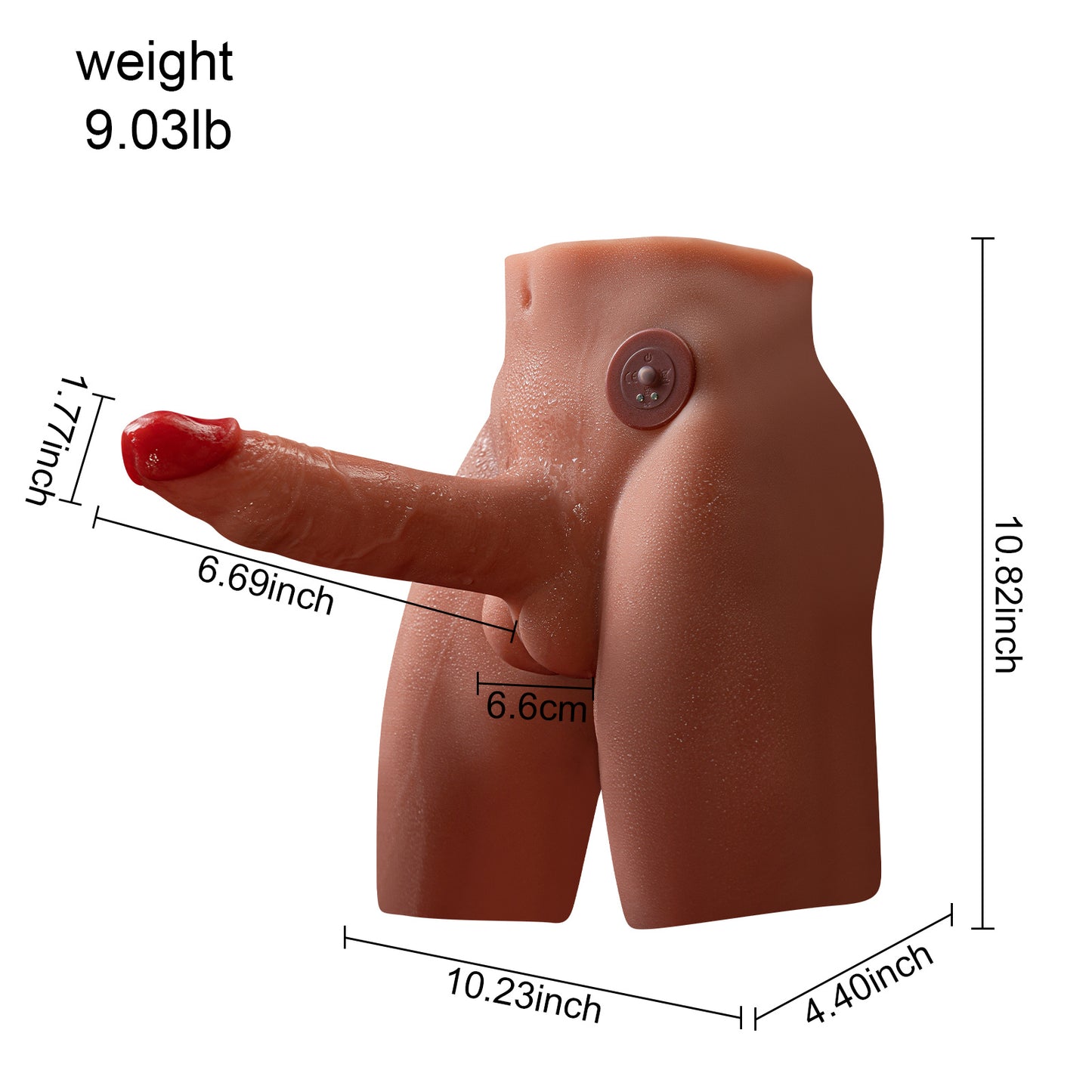 Deluxe Fantasy Torso with Realistic Features and Dynamic Functions