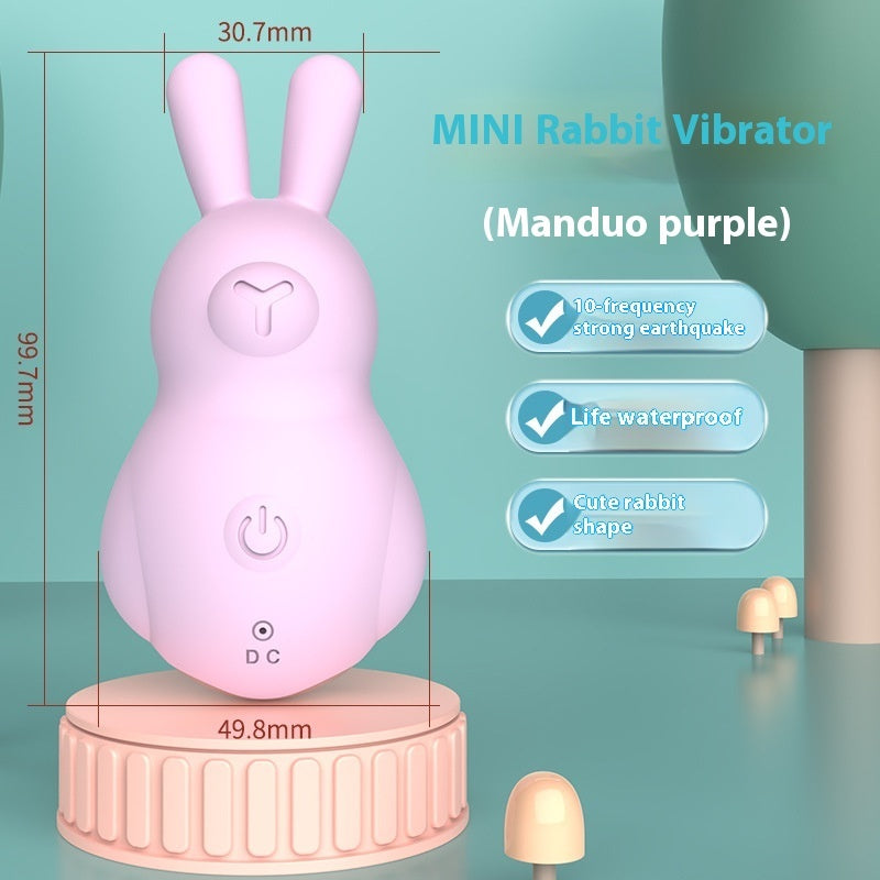 Mini purple rabbit-shaped vibrator with precise dimensions and features listed, including 10 vibration frequencies, waterproof capability, and a cute rabbit design. The image highlights the product’s portability and functionality, making it ideal for discreet, playful enjoyment in a compact form.