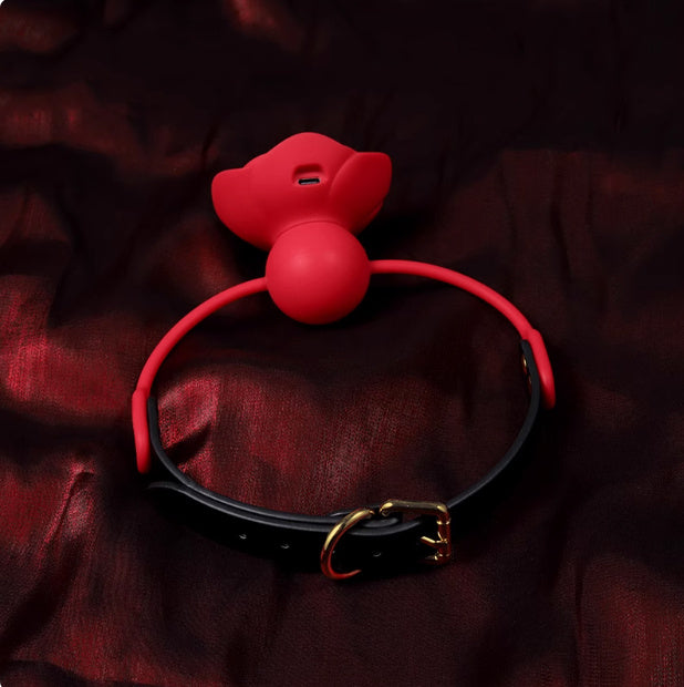 Vibrating Silicone Mouth Ball with Nipple Clamps – BDSM Passion Play Set