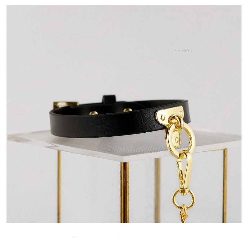 Brown Bondage Leather Collar with Chain Leash – BDSM Fetish Gear with Alloy Detailing