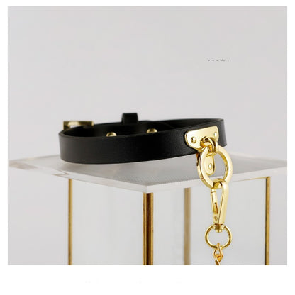 Brown Bondage Leather Collar with Chain Leash – BDSM Fetish Gear with Alloy Detailing