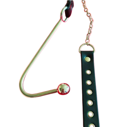 Stainless Steel Forced Head-up Anal Hook – Court Punishment Prop