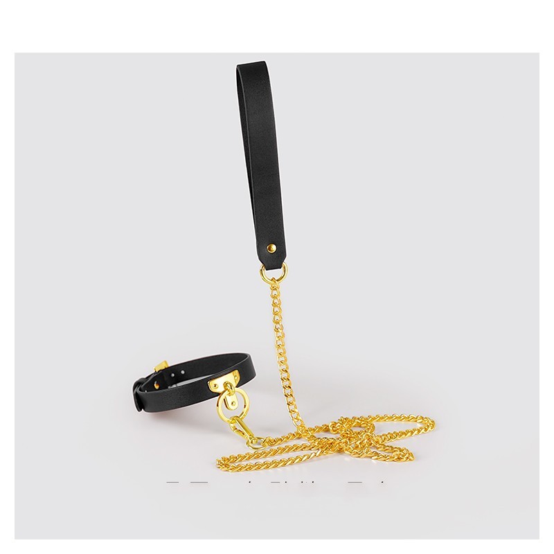 Brown Bondage Leather Collar with Chain Leash – BDSM Fetish Gear with Alloy Detailing