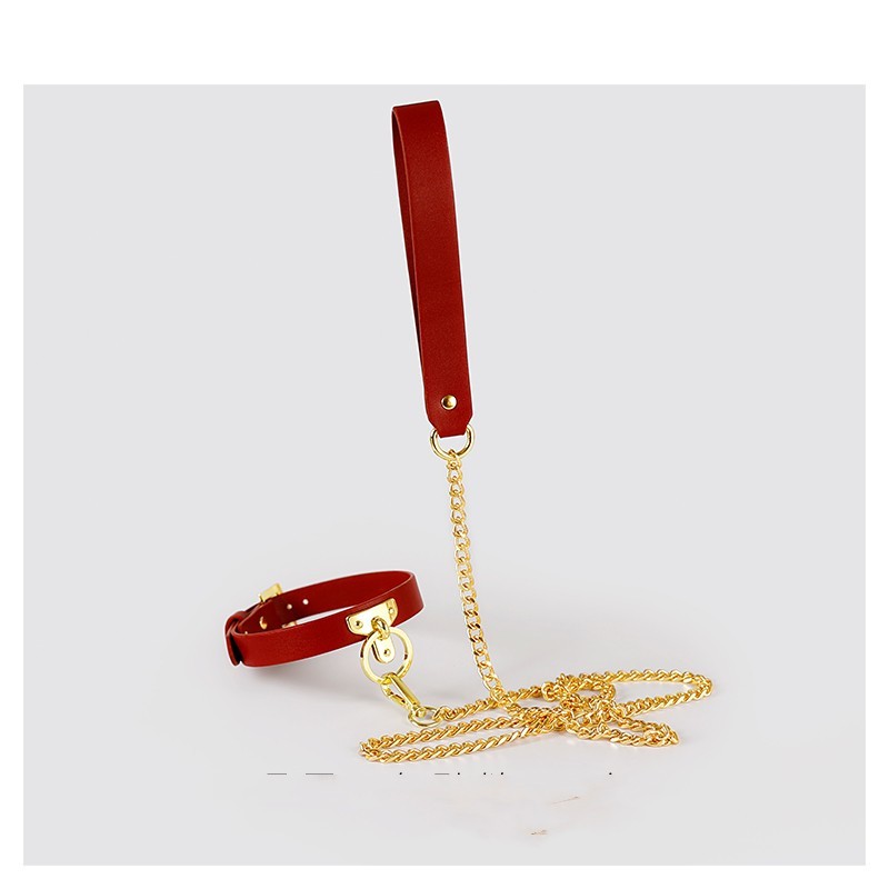 Brown Bondage Leather Collar with Chain Leash – BDSM Fetish Gear with Alloy Detailing