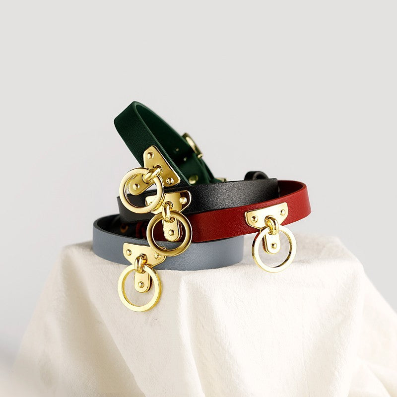 Brown Bondage Leather Collar with Chain Leash – BDSM Fetish Gear with Alloy Detailing