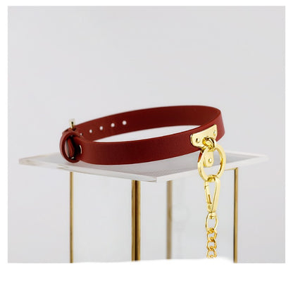 Brown Bondage Leather Collar with Chain Leash – BDSM Fetish Gear with Alloy Detailing