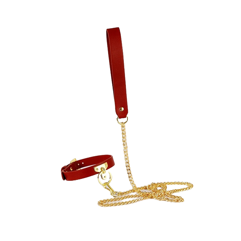 Brown Bondage Leather Collar with Chain Leash – BDSM Fetish Gear with Alloy Detailing