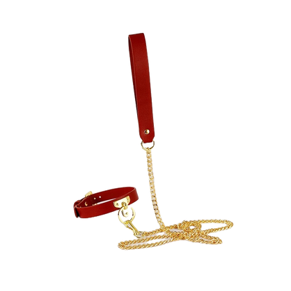 Brown Bondage Leather Collar with Chain Leash – BDSM Fetish Gear with Alloy Detailing